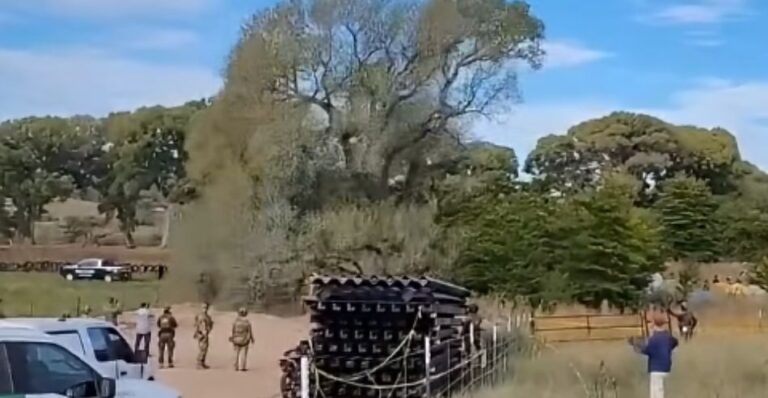Desalojan a ambientalistas y derriban árbol histórico en territorio Tohono O’odham por muro fronterizo