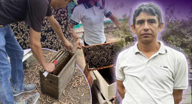 Rescate Abeja impulsa el retiro y reubicación de enjambres en Hermosillo